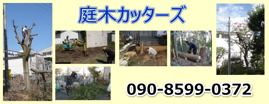 庭木カッターズ | 神奈川県二宮町の庭木の伐採を承ります。